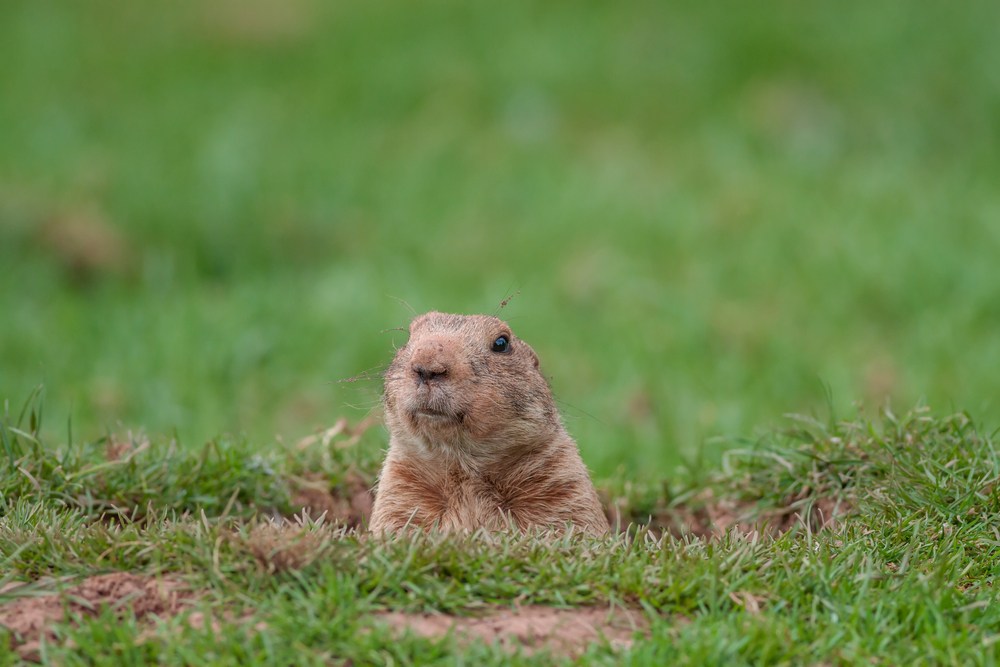 Avoiding Groundhog Day: How to Get the Most Out of AWS